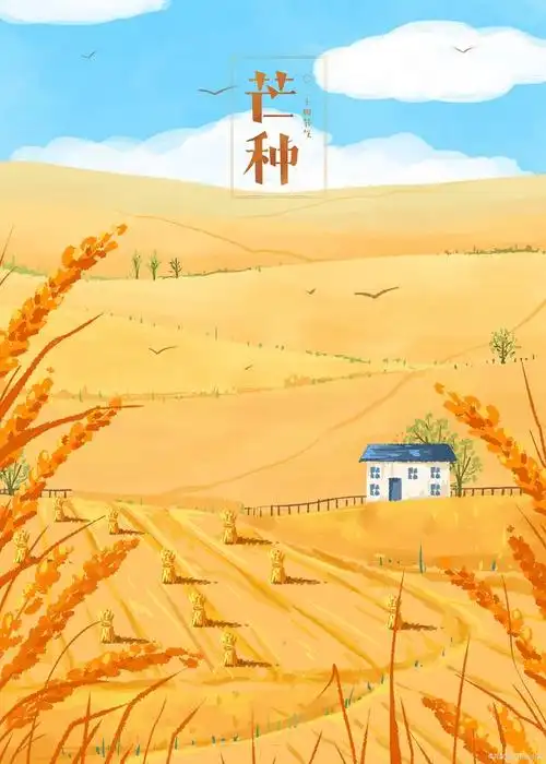 今日芒种:时雨及芒种,处处菱歌长