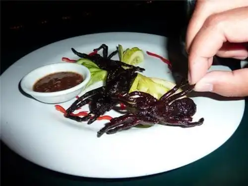 全球最惊悚的大美食(慎入!减肥者除外)