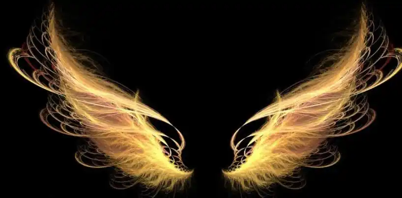 12星座的专属翅膀,快来对号入座,你喜欢吗?