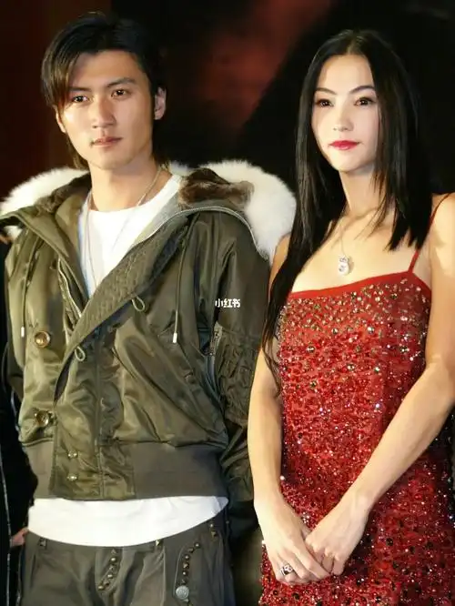 当年很喜欢的一对儿谢霆锋张柏芝