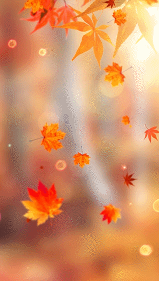 敬老爱老重阳节敬老院照片投票活动_微信投票_人人秀h5_rrx.cn