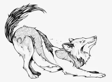 商标名称:野狼手绘狼野狼矢量的苍狼 狼王 霸气 生猛 凶猛 凶猛动物