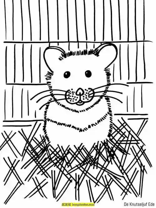 6张宠物小老鼠小仓鼠卡通手绘儿童简笔画