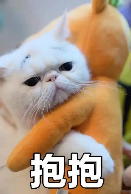 我没有不开心_丧气_喵咪表情要亲亲抱抱举高高 - 一组撩汉表情包