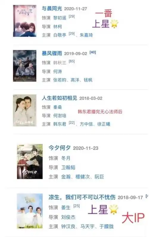 她与张晚意,张若昀等人的合作,以及与钟汉良主演的《凉生,我们可不