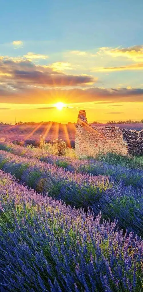 全面屏手机高清唯美壁纸