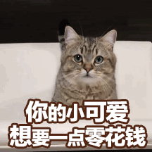 想要一点零花钱猫咪眼神可爱gif动图_动态图_表情包下载_soogif
