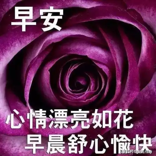 经典短句早安问候 2021早上好图片