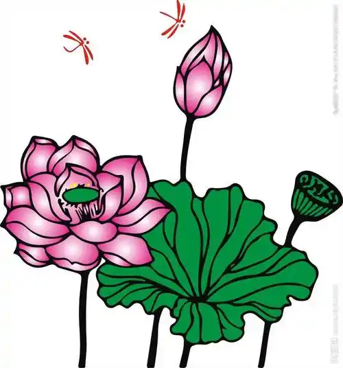 荷花简笔画 荷花简笔画带颜色