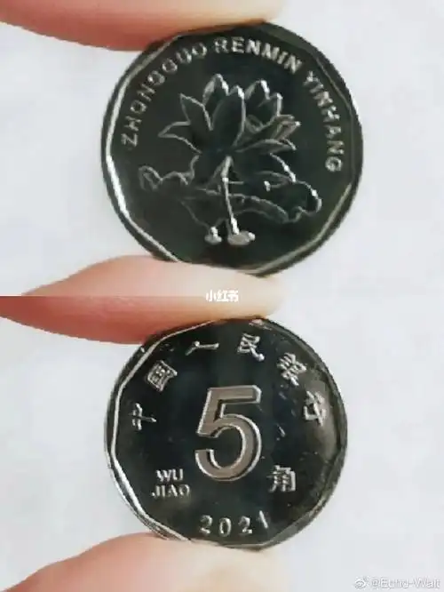 最新的五毛长这样