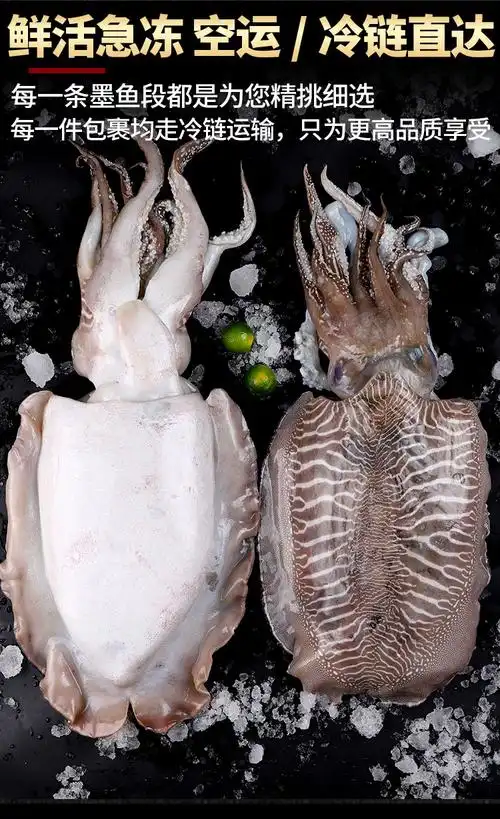 墨鱼鲜活速冻大墨鱼 超大新鲜海鲜水产特级花枝目鱼乌贼