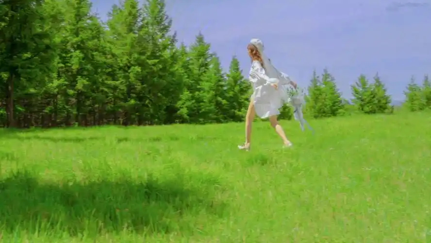 西安婚纱照推荐森系婚纱照真的美