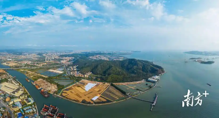 滨海湾将全力争创国家级莞港合作平台_发展_湾区_新区