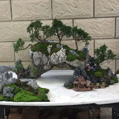 鱼池青龙石点缀青龙石盆栽青龙石假山制作1