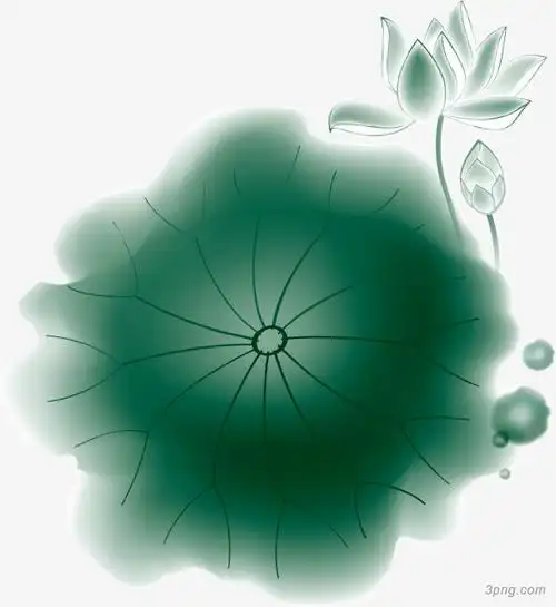 水墨绿色荷叶png素材透明免抠图片-动植人物