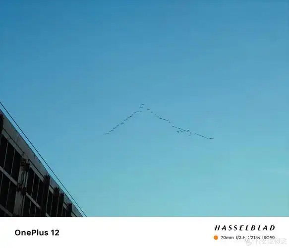 一个半月深度体验网上被称为神机的一加12到底如何