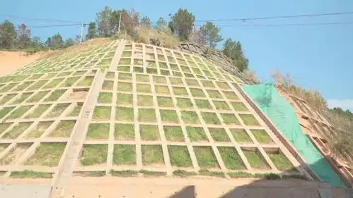 和平东水中学地质灾害滑坡点修复即将全面完工