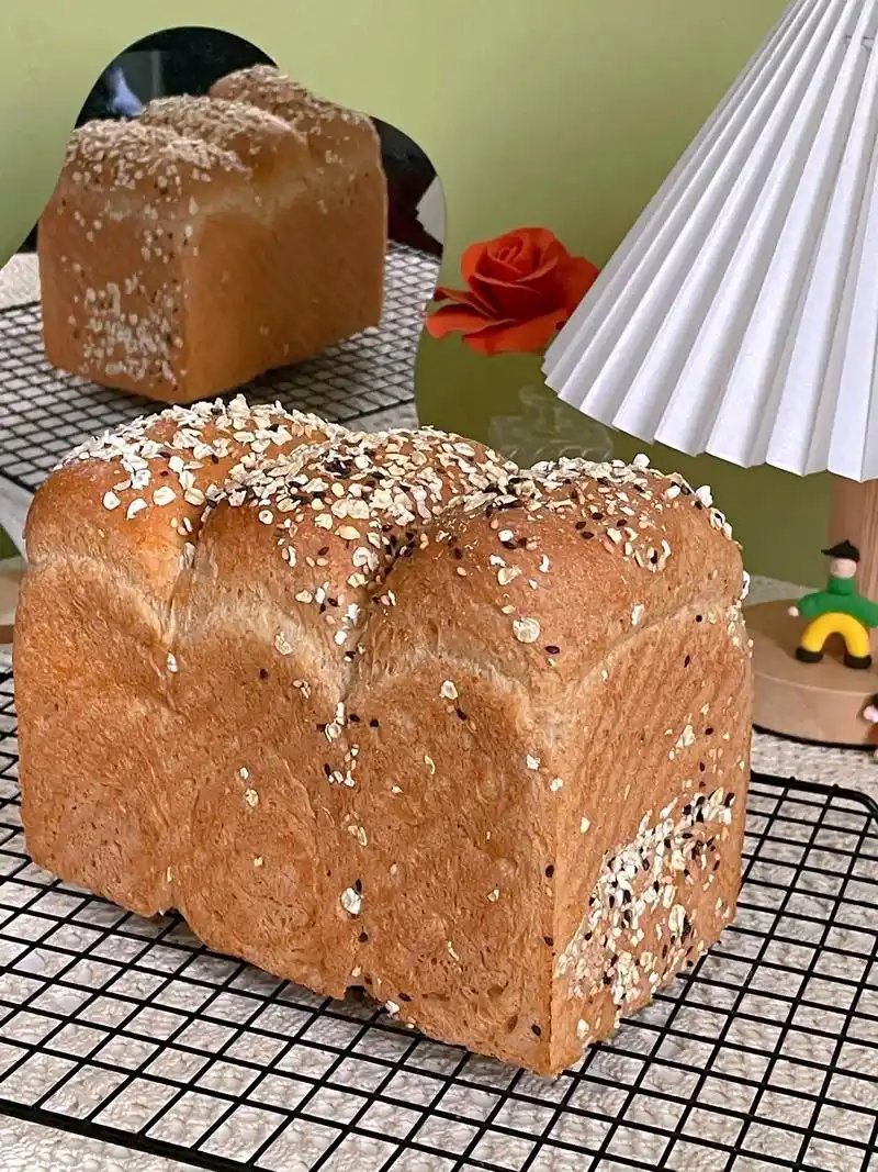 新艾瑞斯美食9波兰种全麦杂粮吐司