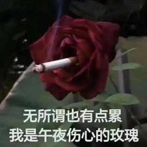 淦!我真的会谢!