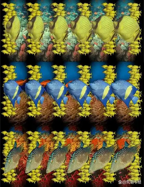 三维图虽然好看但比较费眼睛,所以不能长时间的观看,看过之后要闭眼