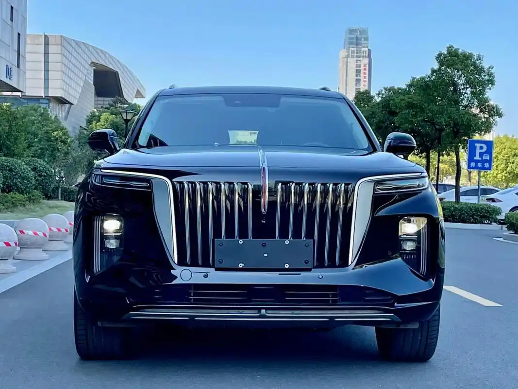 21年红旗e-hs9 2021款 460km 旗享版 六座 红旗e-hs9 国产电动旗舰 "