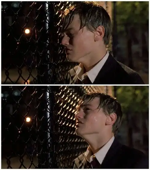 小李子莱昂纳多迪卡普里奥在边缘日记里的盛世美颜