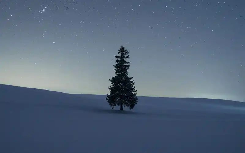 7615北海道冬季:函館の浪漫雪景 白い恋人