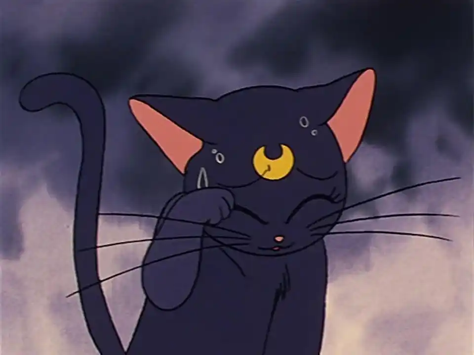 【美少女战士】露娜