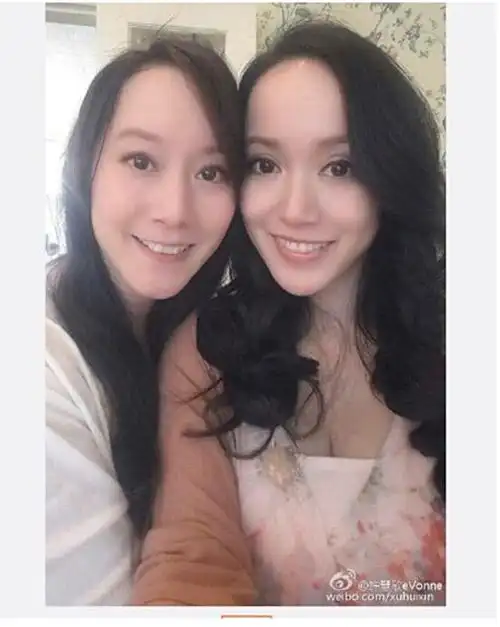 许慧欣晒美照曝怀孕后近况双手捧肚造型优雅图3