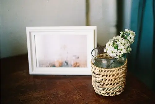 治愈系,治愈系,life