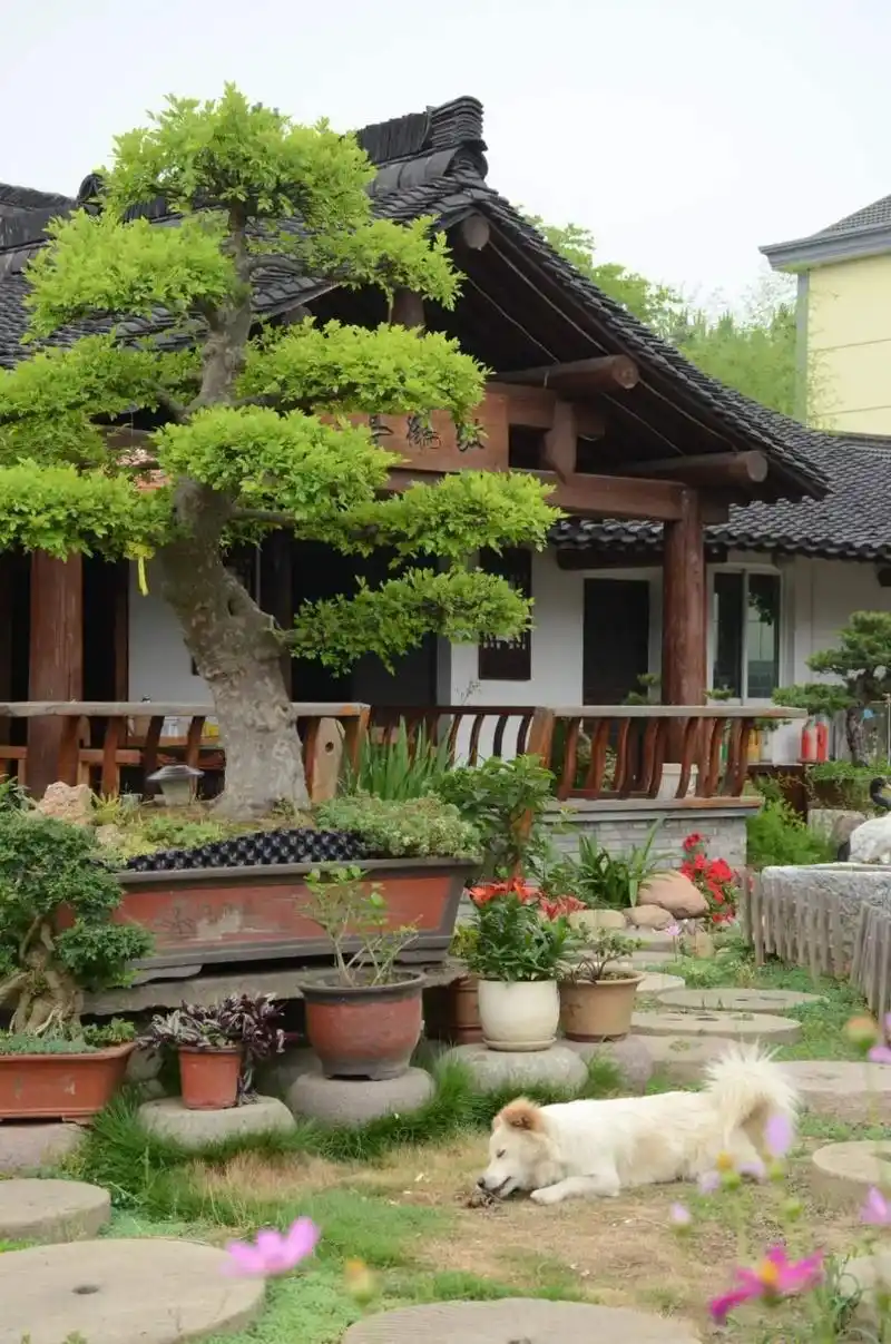 蜿蜒曲折的石子小路,流水潺潺的生态沟,古色古香的小凉亭,摇椅,石凳和