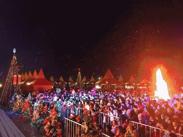 办公室,驯鹿,还有"北极圈纬线地标纪念证书";从圣诞邮局寄信给亲人