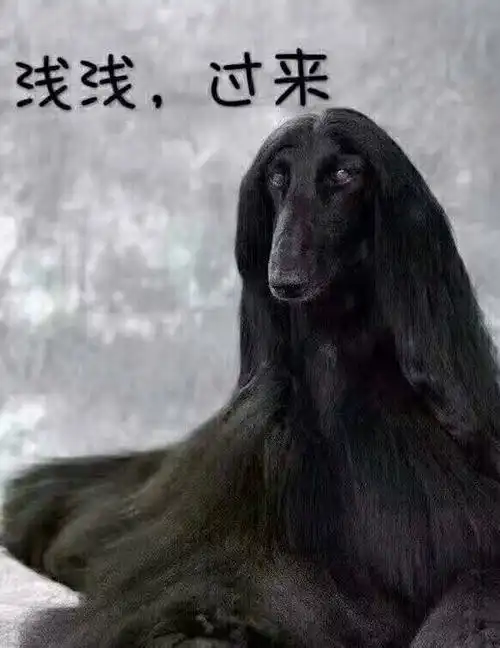 三年的洁身自好,为夜华失了身.中毒太深