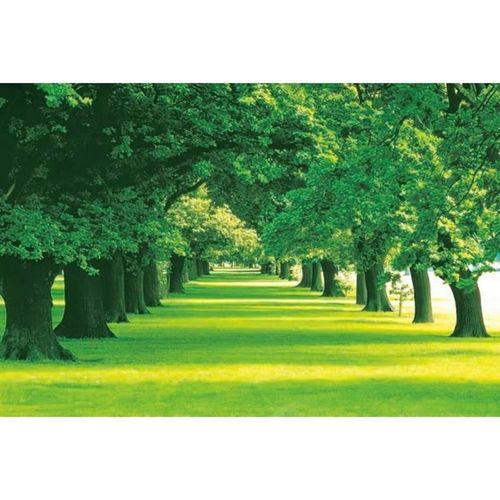 中式简约自然风景海景贴画树林客厅装饰花竹林墙画沙发电视背景图