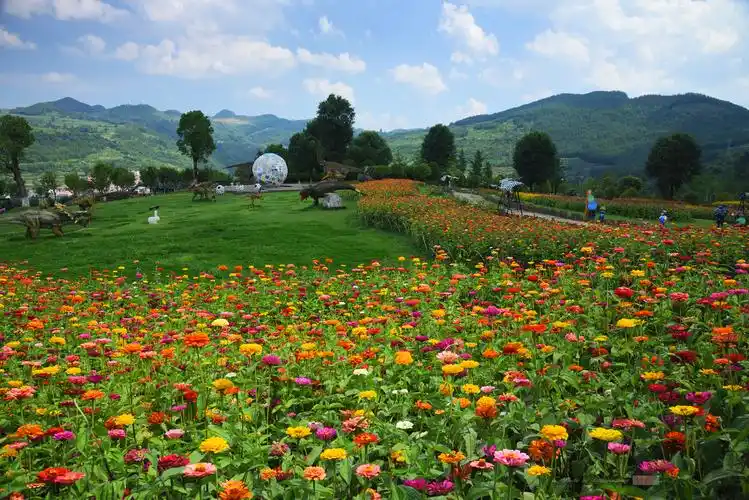【组照】六盘水:大河堡花海景区小照(上)