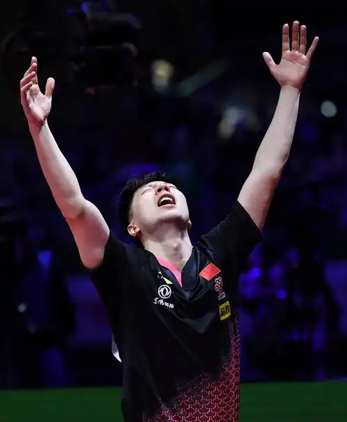乒乓球世锦赛马龙男单夺冠