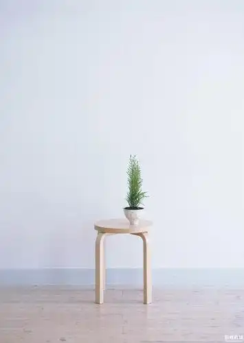 【椅子盆栽植物,白色-简约装修家居图片】_椅子盆栽植物,白色-简约