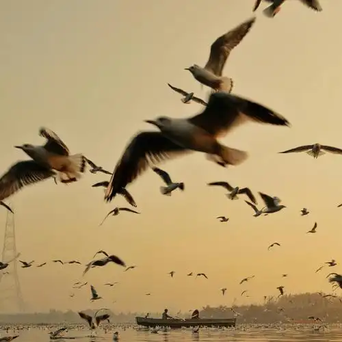 风景头像 成熟稳重