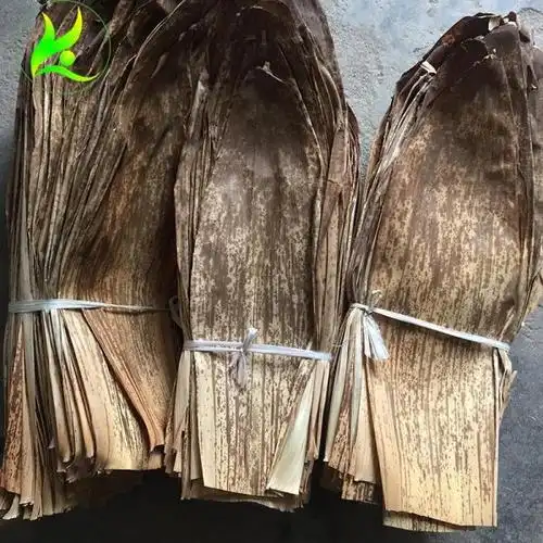 笋壳属于什么垃圾笋壳是什么垃圾