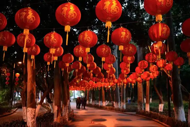 梦见好多灯笼挂在树上