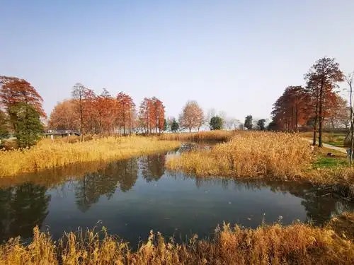 2020.12.25手机随拍:游玩武汉华侨城湿地公园 - 美篇