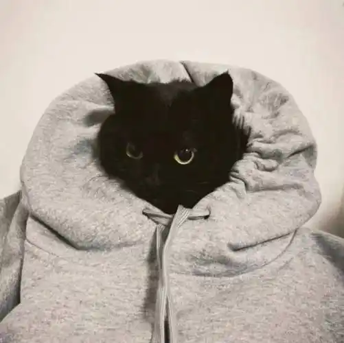 头像高级感ins风头像