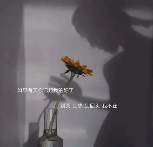 文案图片背景图片文案图片配图干净