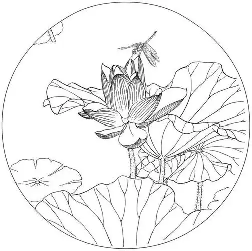 慧画资料库:赶紧收藏,荷花练笔白描底稿大全!