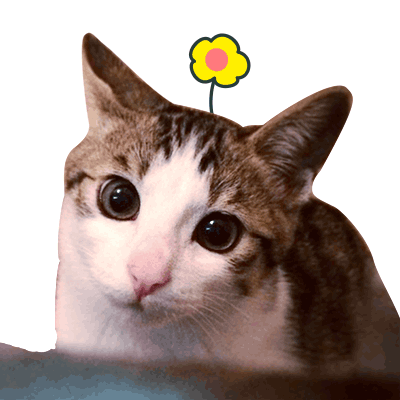 肥呢呢微信表情包来啦让这只呢来承包你的萌吧一起刷刷刷