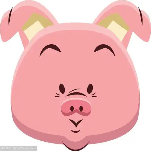 可爱的卡通猪