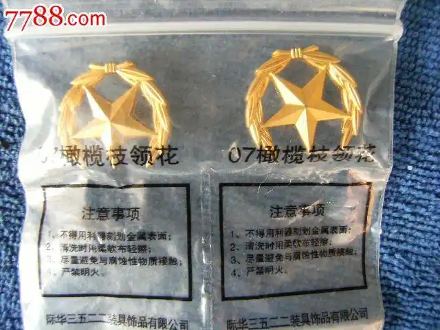 07橄榄枝领花一对