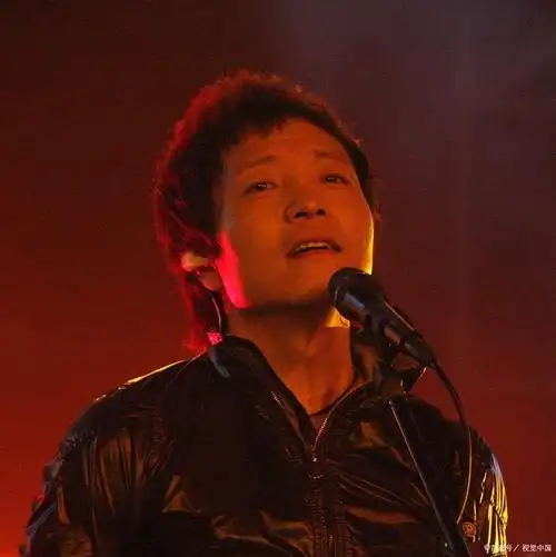 内地摇滚诗人许巍