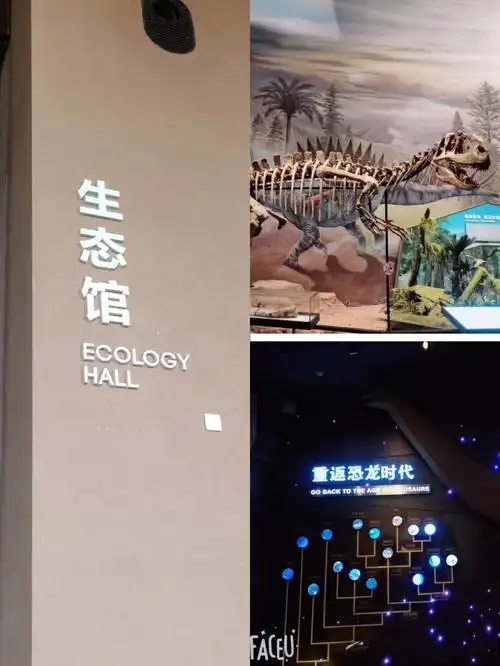 浙江自然博物馆安吉馆