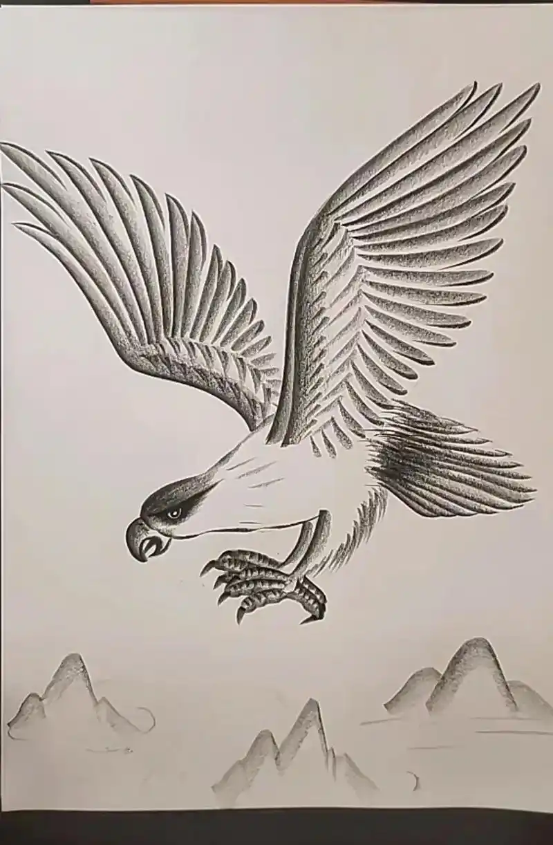 自学画画打卡 #想画就画 #画出梦想抖动未来 炭笔画《雄鹰 - 抖音